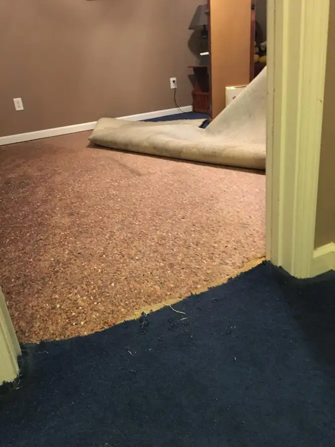 Carpet pad removal revealing water damage during Drying & Dehumidification in Culpeper